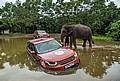 Mit dem Land Rover Discovery in 70 Tagen um die Welt.  Foto: Auto-Medienportal.Net/Land Rover